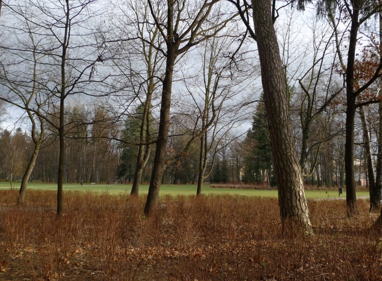 Cieplice_Park_05