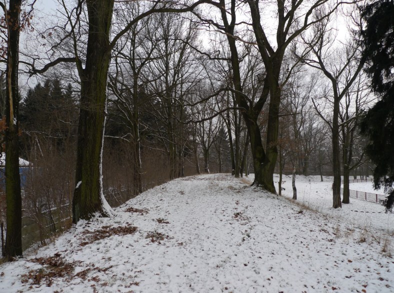 On_the_Other_Side_of_the_Woods_03