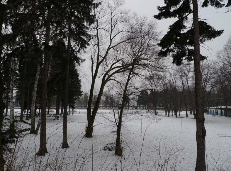 On_the_Other_Side_of_the_Woods_06