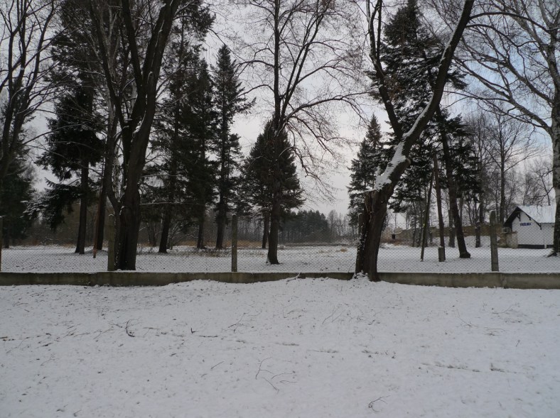 On_the_Other_Side_of_the_Woods_07